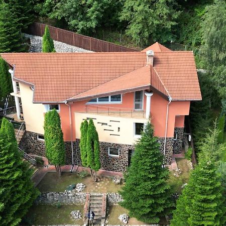 Marble Villa: Luxury Estate - Central But Intimate Sinaia Esterno foto