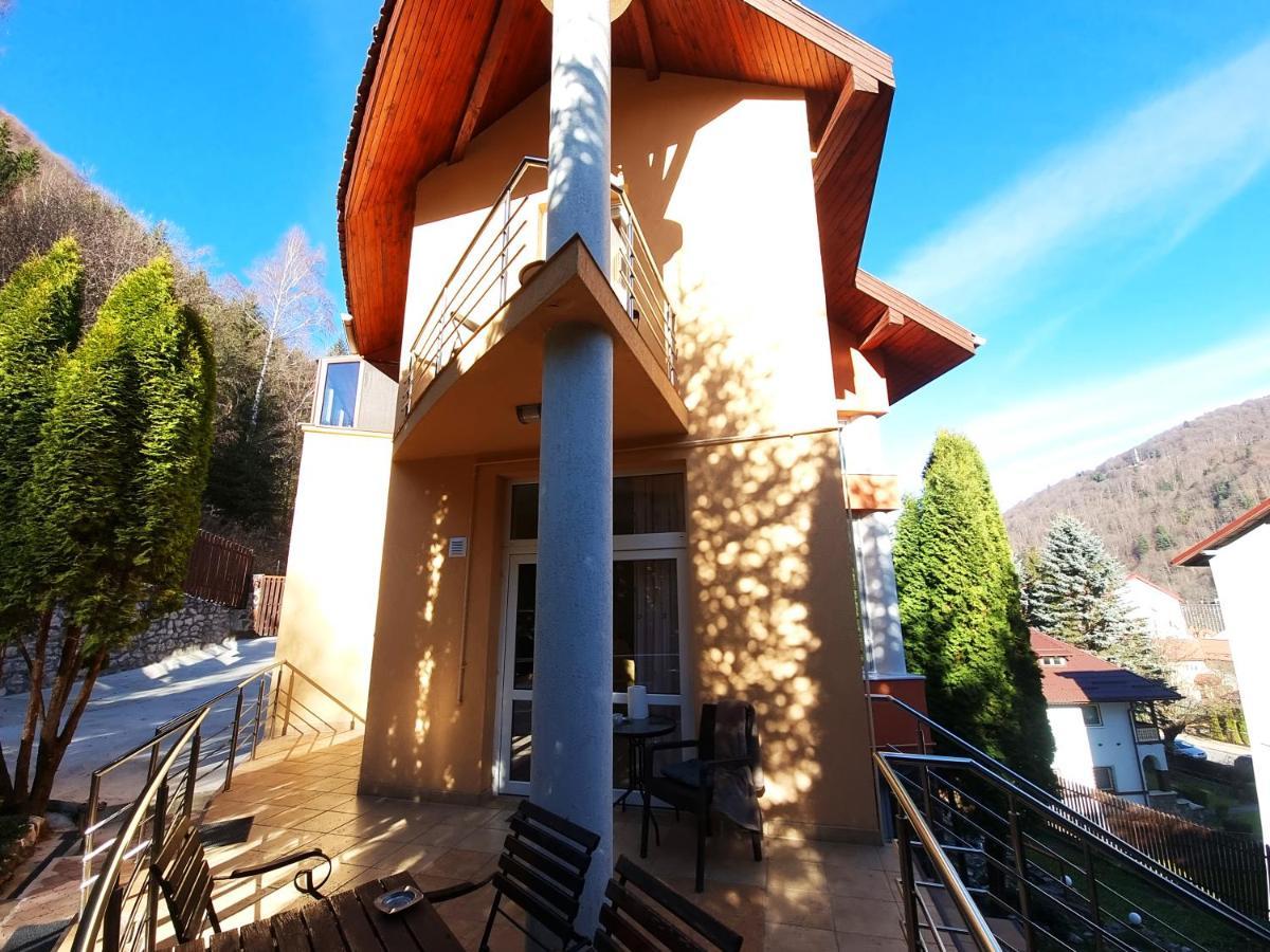 Marble Villa: Luxury Estate - Central But Intimate Sinaia Esterno foto