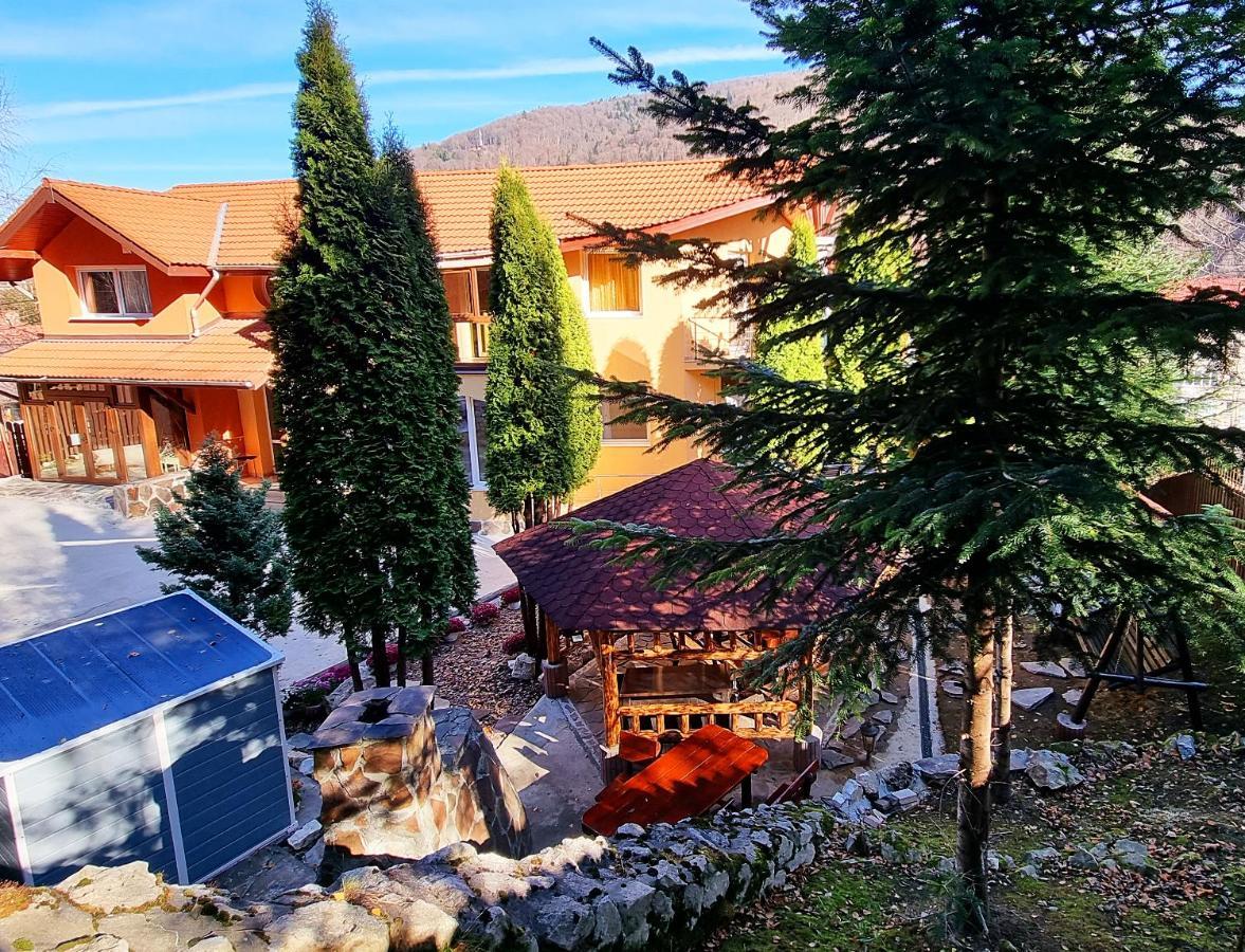 Marble Villa: Luxury Estate - Central But Intimate Sinaia Esterno foto